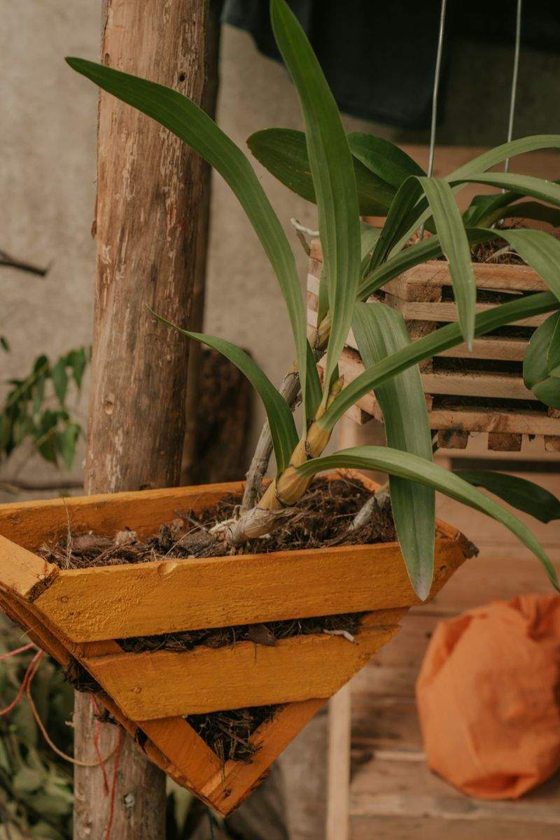 GrünOase Pflanzenpflege GmbH - Image 6